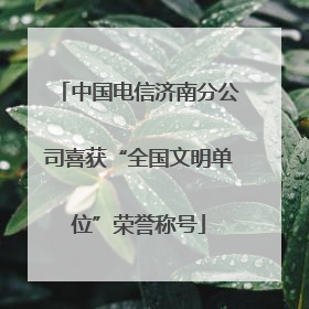 中国电信济南分公司喜获“全国文明单位”荣誉称号