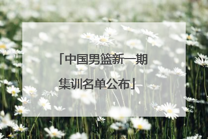 中国男篮新一期集训名单公布