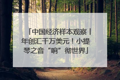 中国经济样本观察丨年创汇千万美元！小提琴之音“响”彻世界