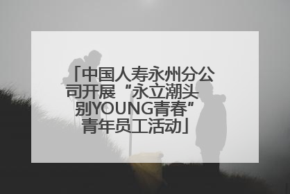 中国人寿永州分公司开展“永立潮头 别YOUNG青春”青年员工活动