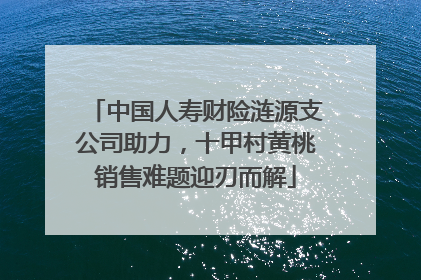 中国人寿财险涟源支公司助力，十甲村黄桃销售难题迎刃而解