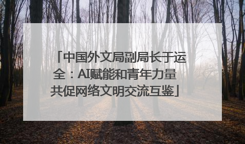 中国外文局副局长于运全：AI赋能和青年力量共促网络文明交流互鉴