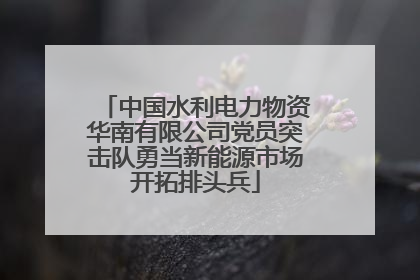 中国水利电力物资华南有限公司党员突击队勇当新能源市场开拓排头兵
