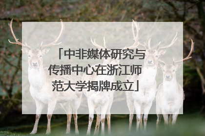 中非媒体研究与传播中心在浙江师范大学揭牌成立
