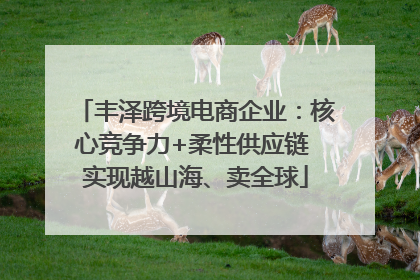 丰泽跨境电商企业：核心竞争力+柔性供应链 实现越山海、卖全球