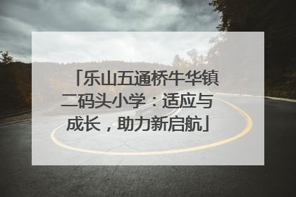 乐山五通桥牛华镇二码头小学：适应与成长，助力新启航