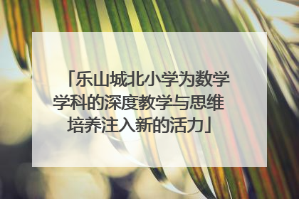 乐山城北小学为数学学科的深度教学与思维培养注入新的活力