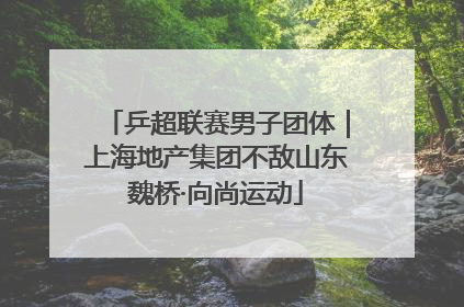 乒超联赛男子团体｜上海地产集团不敌山东魏桥·向尚运动