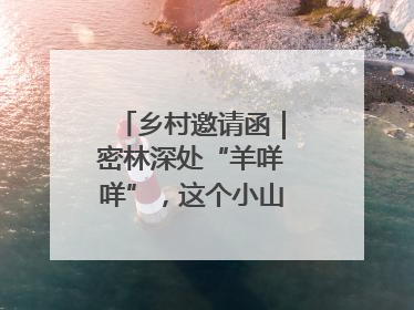 乡村邀请函｜密林深处“羊咩咩”，这个小山村如何逆袭？