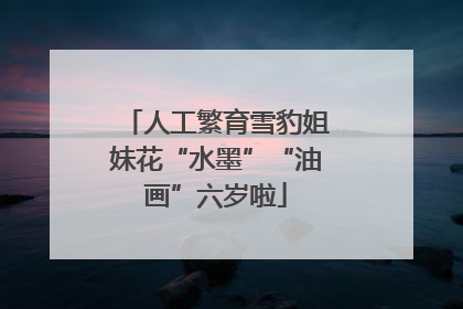 人工繁育雪豹姐妹花“水墨”“油画”六岁啦