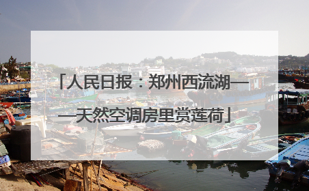 人民日报：郑州西流湖——天然空调房里赏莲荷
