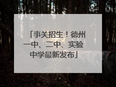 事关招生！德州一中、二中、实验中学最新发布
