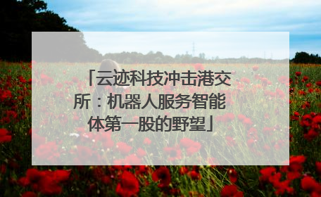云迹科技冲击港交所：机器人服务智能体第一股的野望