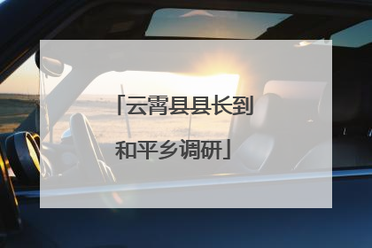 云霄县县长到和平乡调研