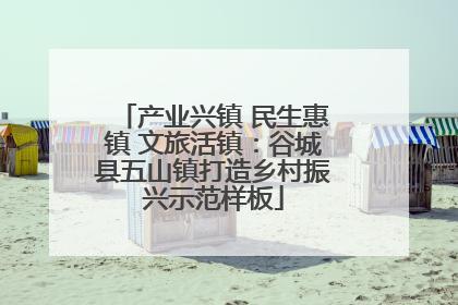 产业兴镇 民生惠镇 文旅活镇：谷城县五山镇打造乡村振兴示范样板