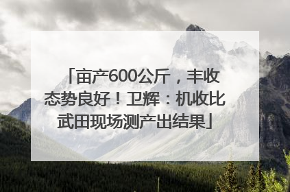 亩产600公斤，丰收态势良好！卫辉：机收比武田现场测产出结果