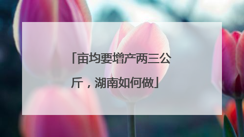 亩均要增产两三公斤，湖南如何做