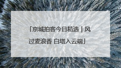 京城拍客今日精选｜风过麦浪香 白塔入云端