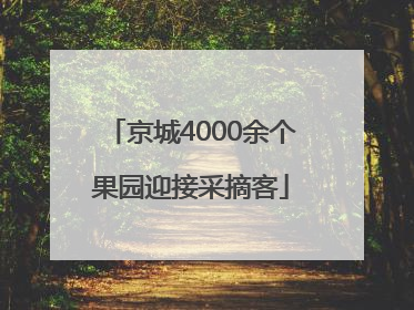 京城4000余个果园迎接采摘客