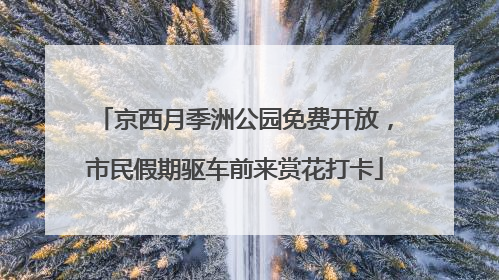 京西月季洲公园免费开放，市民假期驱车前来赏花打卡