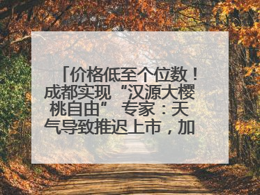 价格低至个位数！成都实现“汉源大樱桃自由” 专家：天气导致推迟上市，加之产量大