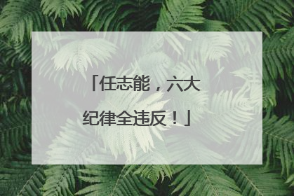 任志能，六大纪律全违反！
