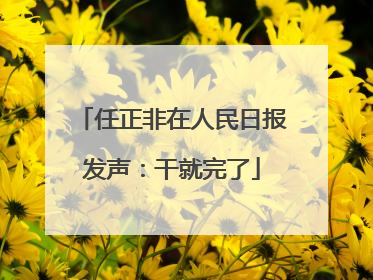 任正非在人民日报发声：干就完了