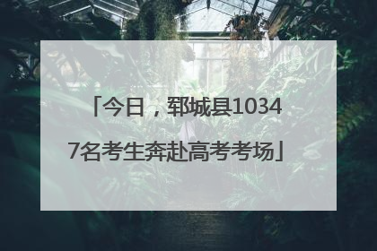 今日，郓城县10347名考生奔赴高考考场