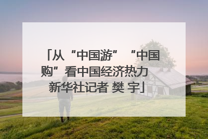 从“中国游”“中国购”看中国经济热力 新华社记者 樊 宇
