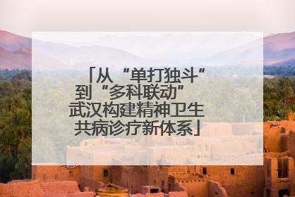 从“单打独斗”到“多科联动” 武汉构建精神卫生共病诊疗新体系