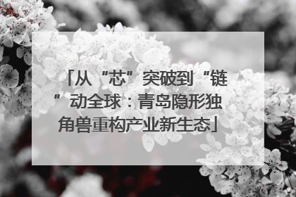 从“芯”突破到“链”动全球：青岛隐形独角兽重构产业新生态
