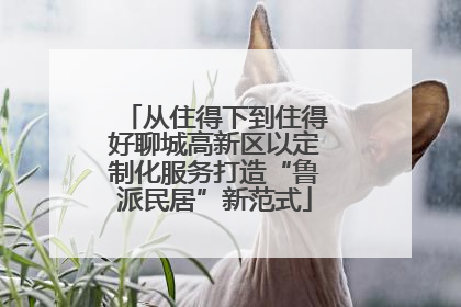 从住得下到住得好聊城高新区以定制化服务打造“鲁派民居”新范式