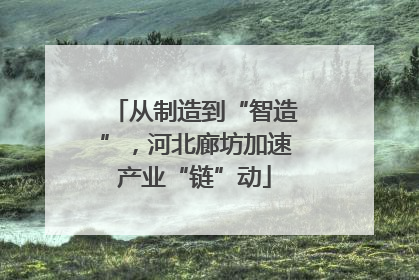 从制造到“智造”，河北廊坊加速产业“链”动