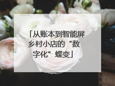 从账本到智能屏 乡村小店的“数字化”蝶变