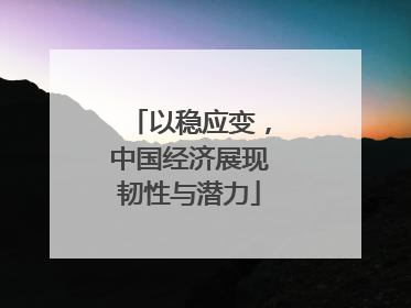 以稳应变，中国经济展现韧性与潜力