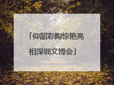 仰韶彩陶惊艳亮相深圳文博会
