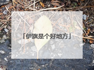 伊旗是个好地方