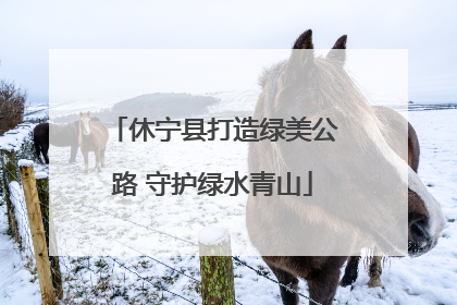 休宁县打造绿美公路 守护绿水青山