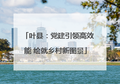 叶县：党建引领高效能 绘就乡村新图景