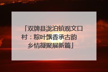 双牌县泷泊镇观文口村：粽叶飘香承古韵 乡情凝聚展新篇