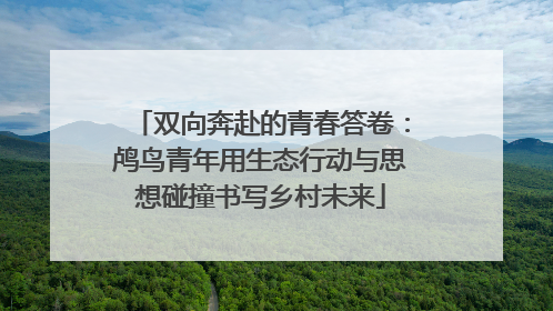 双向奔赴的青春答卷：鸬鸟青年用生态行动与思想碰撞书写乡村未来