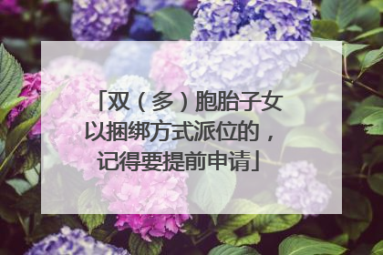 双（多）胞胎子女以捆绑方式派位的，记得要提前申请