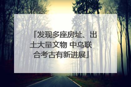 发现多座房址、出土大量文物 中乌联合考古有新进展