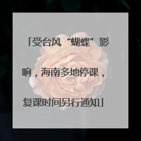 受台风“蝴蝶”影响，海南多地停课，复课时间另行通知