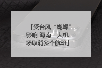 受台风“蝴蝶”影响 海南三大机场取消多个航班