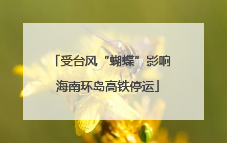 受台风“蝴蝶”影响 海南环岛高铁停运
