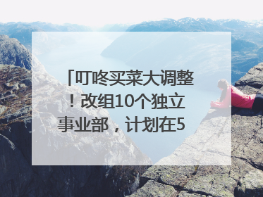 叮咚买菜大调整！改组10个独立事业部，计划在5月完成App端全面改版