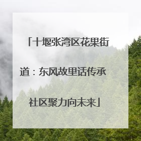 十堰张湾区花果街道：东风故里话传承 社区聚力向未来