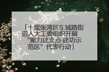 十堰张湾区车城路街道人大工委组织开展 “聚力建支点·建功示范区”代表行动