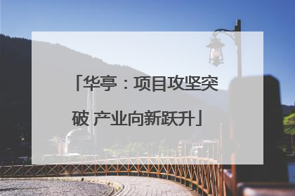 华亭：项目攻坚突破 产业向新跃升